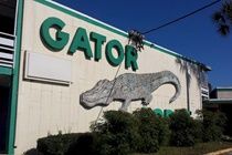 Gator Lodge Jacksonville Zewnętrze zdjęcie
